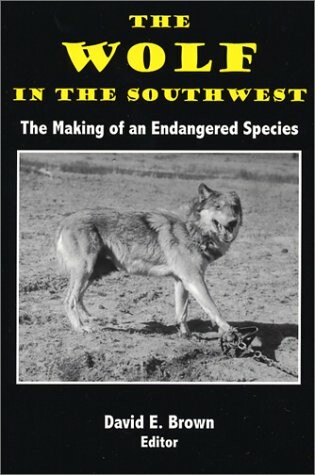 Cover of The Wolf in the Soutwest