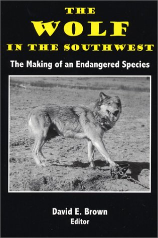 Book cover for The Wolf in the Soutwest