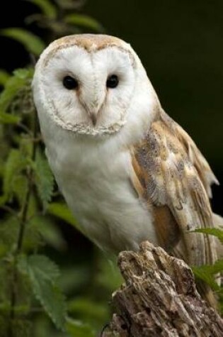 Cover of Barn Owl Journal