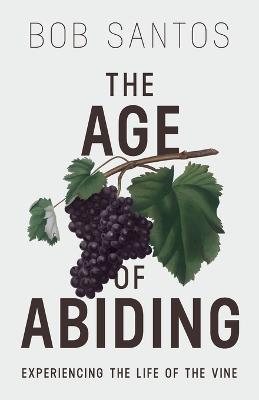 Book cover for The Age of Abiding