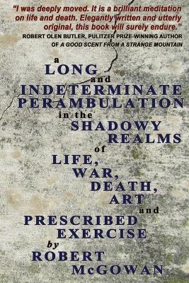 Book cover for A Long And Indeterminate Perambulation