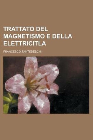 Cover of Trattato del Magnetismo E Della Elettricitla