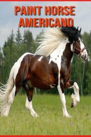 Cover of Paint Horse Americano