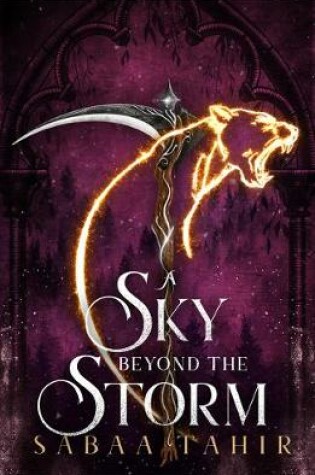 Cover of A Sky Beyond the Storm