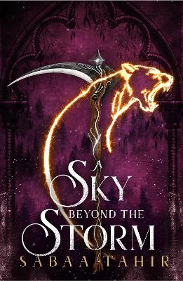 Book cover for A Sky Beyond the Storm