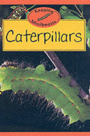 Cover of Caterpillars