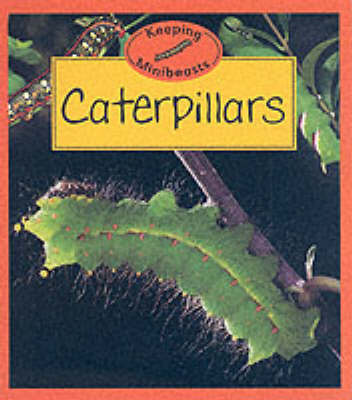 Book cover for Caterpillars