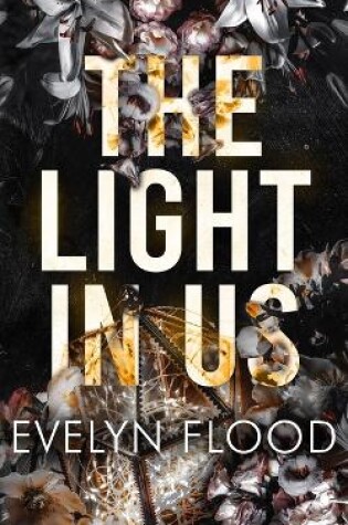 Cover of The Light in Us