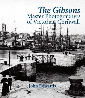 Book cover for The Gibsons