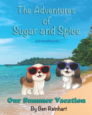 Book cover for Our Summer Vacation