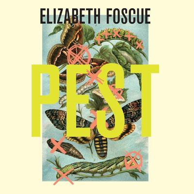 Cover of Pest