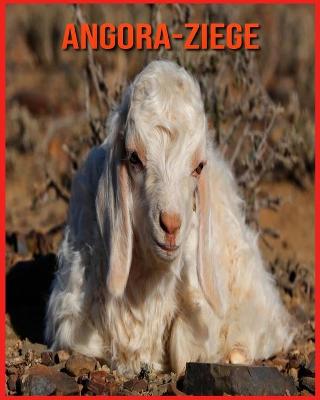 Book cover for Angora-Ziege