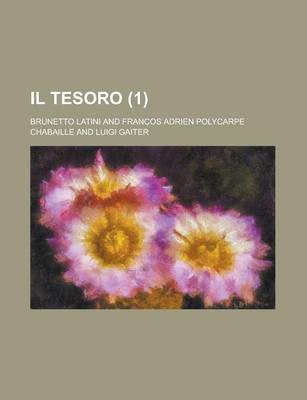 Book cover for Il Tesoro (1)