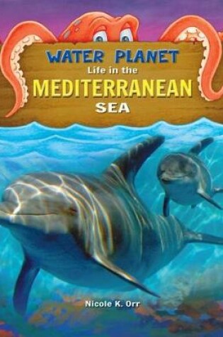 Cover of Mediterranean