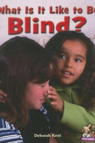 Cover of What Is It Like to Be Blind?