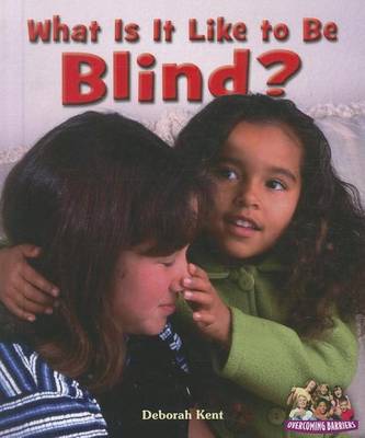 Book cover for What Is It Like to Be Blind?