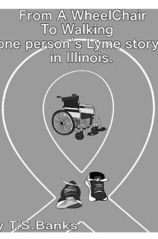 Cover of From a wheelchair to walking one person's Lyme story in Illinois.