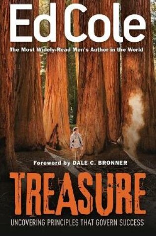 Cover of Treasure