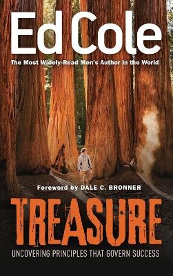 Book cover for Treasure