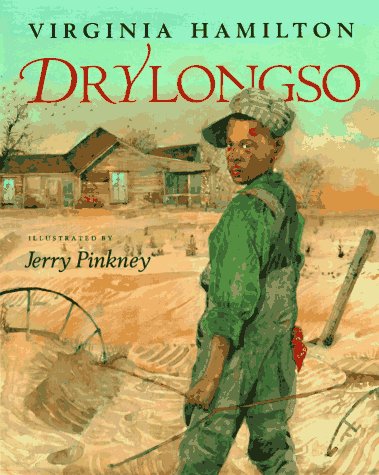 Book cover for Drylongso