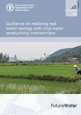 Book cover for Guidance on realizing real water savings with crop water productivity interventions