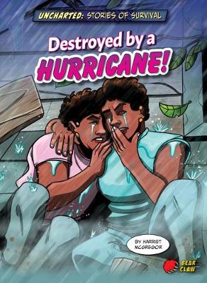 Cover of Destroyed by a Hurricane!