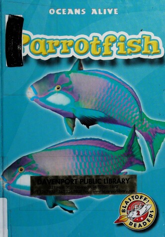 Cover of Parrotfish