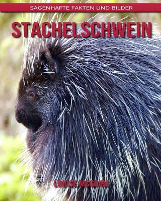 Book cover for Stachelschwein