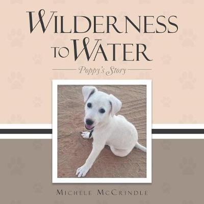 Cover of Wilderness to Water
