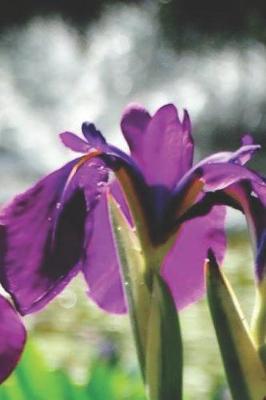 Book cover for Purple Iris Pretty Blank Lined Journal for daily thoughts notebook Lovely Lake Arrowhead Photograph