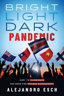 Cover of Bright Light Dark Pandemic