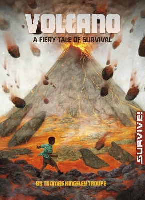 Book cover for Volcano