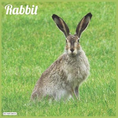 Book cover for Rabbit 2021 Wall Calendar