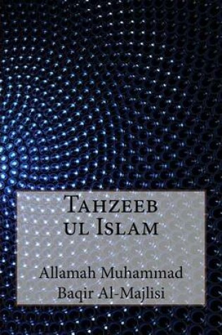 Cover of Tahzeeb UL Islam