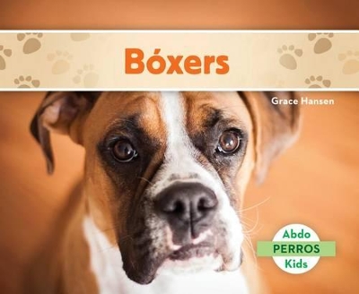 Book cover for Bóxers (Boxers) (Spanish Version)