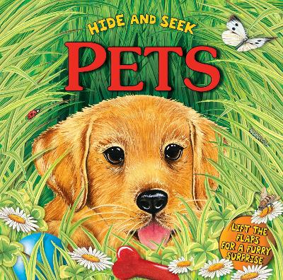 Book cover for Hide and Seek: Pets