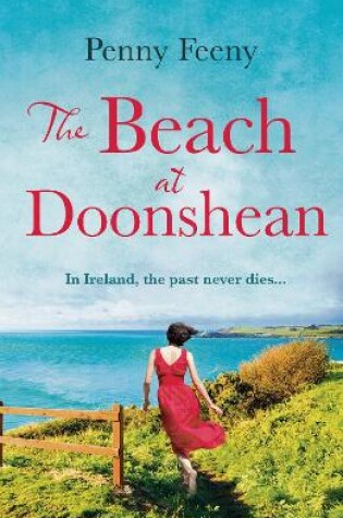 Cover of The Beach at Doonshean