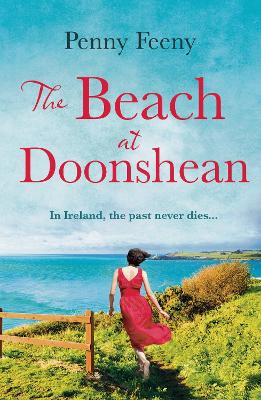 Book cover for The Beach at Doonshean