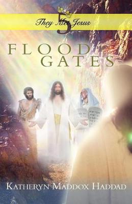 Book cover for Flood Gates