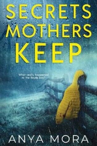 Cover of Secrets Mothers Keep