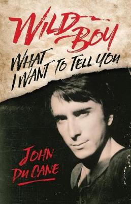 Book cover for Wild Boy