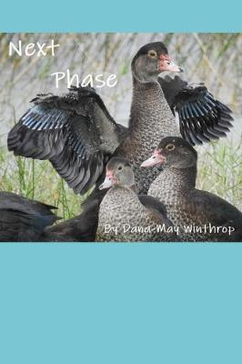 Book cover for Next Phase