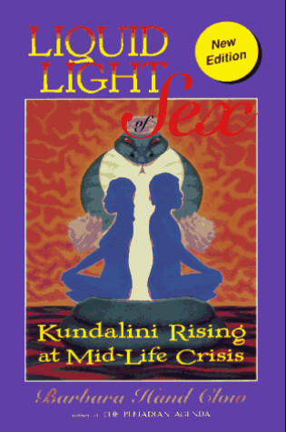 Cover of Liquid Light of Sex