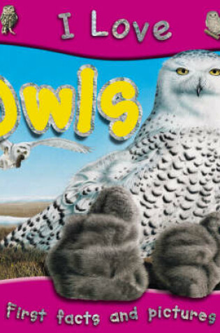 Cover of I Love Owls
