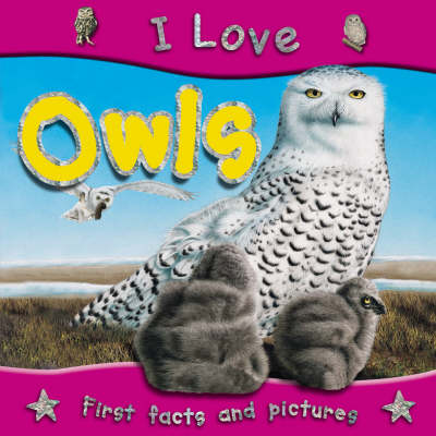Book cover for I Love Owls