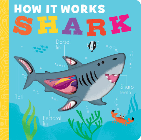 Cover of How It Works: Shark