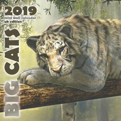 Cover of Big Cats 2019 Mini Wall Calendar (UK Edition)