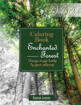 Book cover for Enchanted Forest