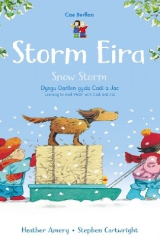 Cover of Cyfres Cae Berllan: Storm Eira / Snow Storm
