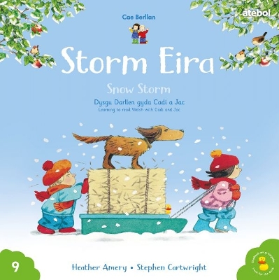 Book cover for Cyfres Cae Berllan: Storm Eira / Snow Storm